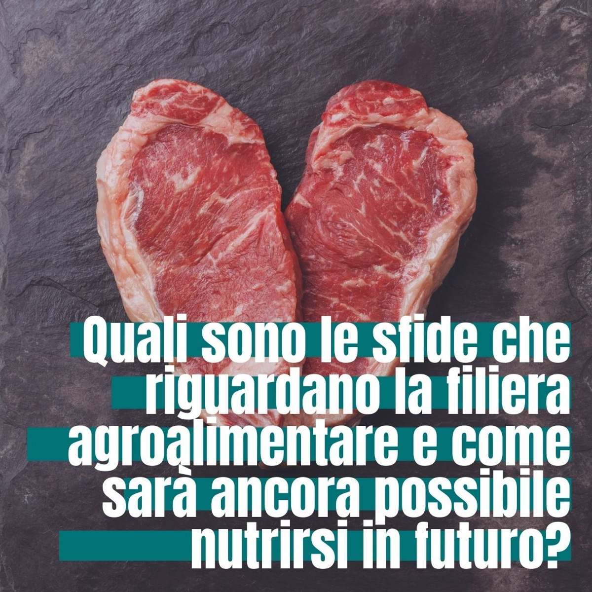 Come sarà il cibo del futuro?