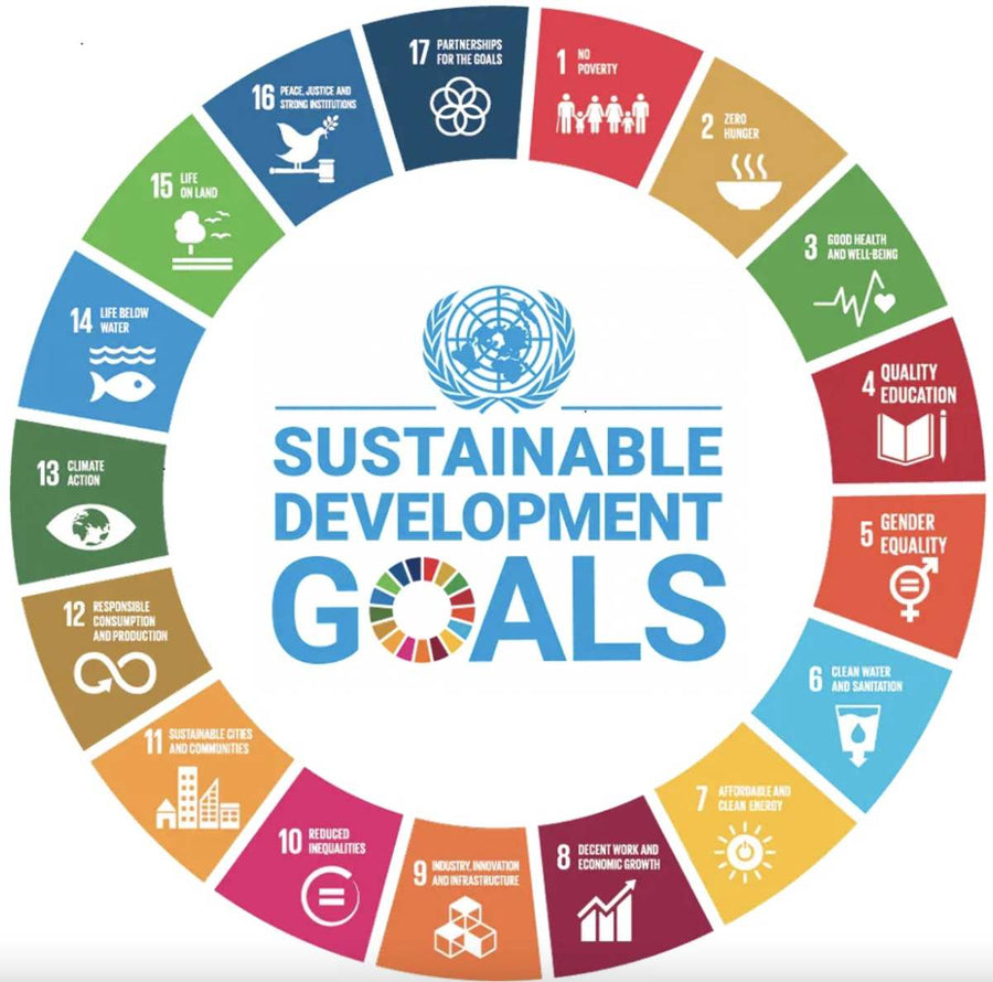 L'agenda 2030 per la sostenibilità dei modelli di produzione e di consumo